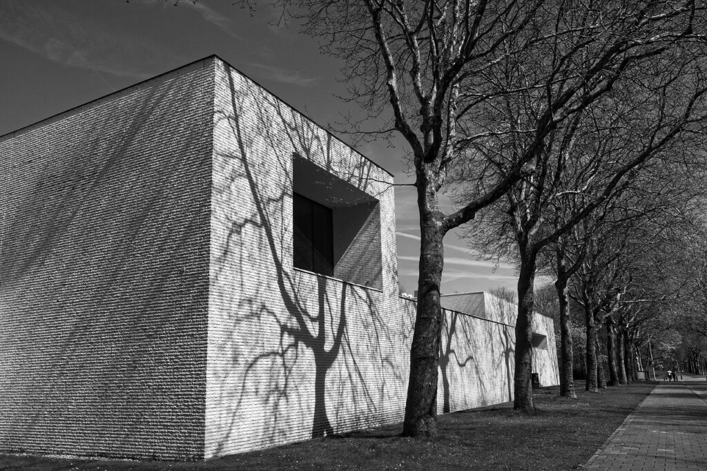 building, wall, white wall, shadow, tree, nature, street, urban, shadow on wall, gray tree, gray building, gray wall, gray street